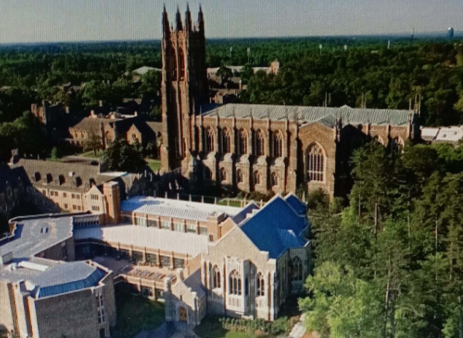 Prof. Alban G. Widgery